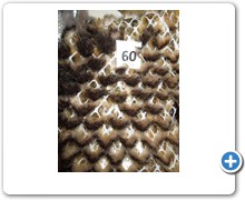 collection 12 Traforazione tricot a V 60